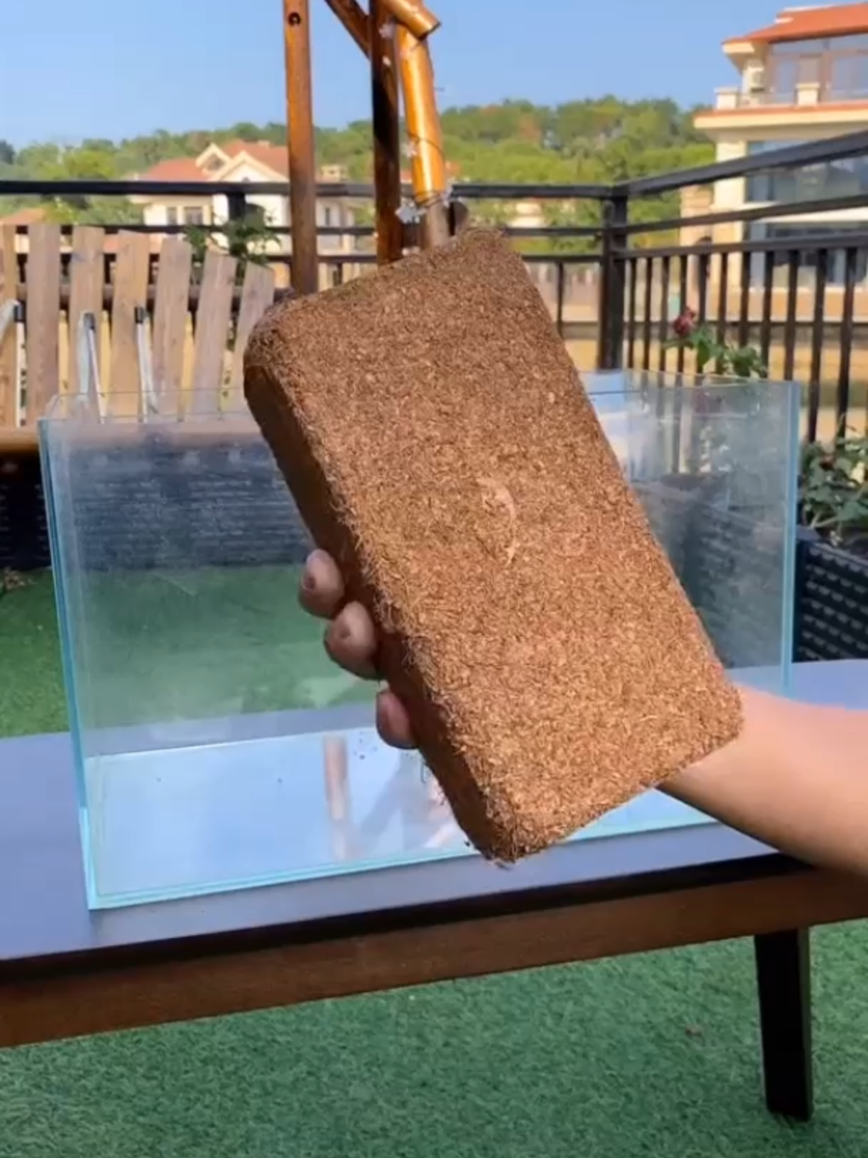 Viên đất nén xơ dừa cho mọi người thích trồng cây trồng trọt tại nhà #review #datnenxodua