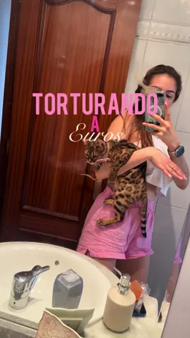 Bañando a mi gato 😬🩷🐱 #bengali #gato #catlover #euros 🫶🏻