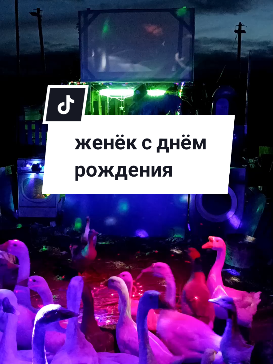 Женя с днём рождения #деньрождения #рекомендации #женя 