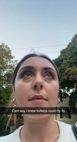 I thought they were like chickens and can only like get a foot off the ground (ig: lenagalinson)