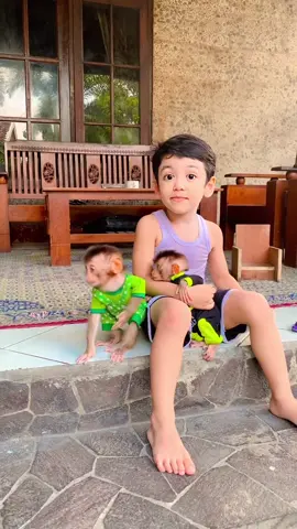 Kenalan yok 🐥#fyp #babymonkey #monyetlucu #monyetviral #monyetpintar #babymonkey #cuteanimals 