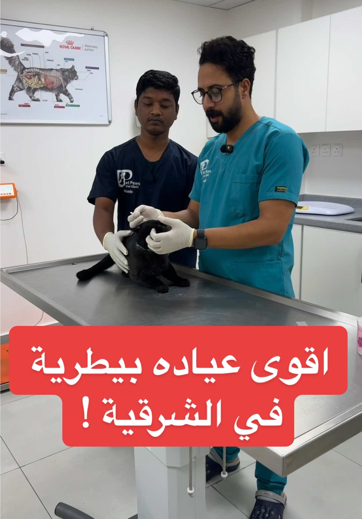خصم 50% على جميع الخدمات لغاية 10 اغسطس  #عيادة_بيطرية #الدمام #خدمات_بيطرية #تطعيم_حيوانات #فندقة_حيوانات #خصم_خمسين #تخفيضات_الدمام #رعاية_بيطرية #خدمة_منزلية #مستشفى_بيطري #حيوانات_أليفة #محبي_القطط #محبي_الكلاب #تنظيف_حيوانات #كفوف_أليفة #الخبر_الدمام #تيك_توك_الدمام #صحة_الحيوان #petlovers #grooming #petspa #petboarding #veterinaryclinic #saudivets #تطعيمات_الحيوانات عيادة الكفوف الأليفة البيطريه في الدمام  للتواصل 0541233327 