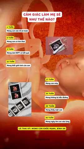 Chúc các mom luôn khoẻ mạnh trọn vẹn cả thai kỳ ❣️ #LearnOnTikTok #embeduocsi #mangthailandau #thaikykhoemanh #mebauthongthai #mebau #mangthai #mevabe 