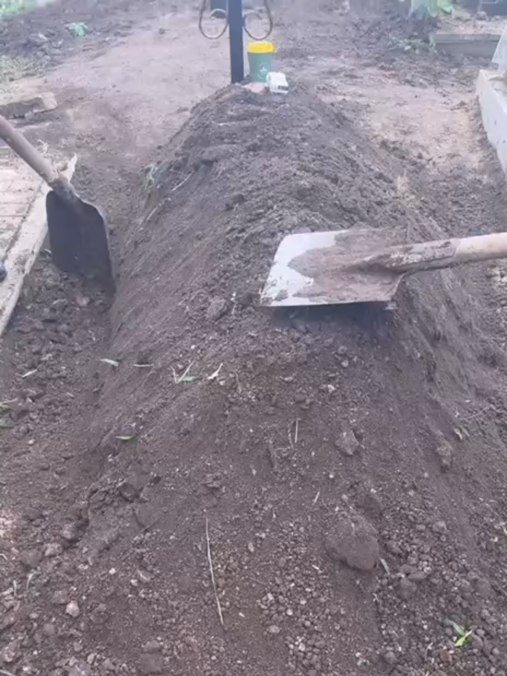вічна пам'ять дракоша 💔🕯️