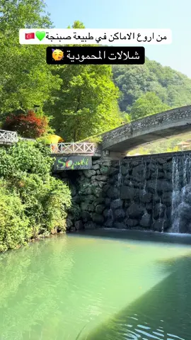 #صبنجة #بحيرة_صبنجة #رحلات_صبنجة #صبنجه #شلالات_معشوقية #تلفريك_صبنجة #منتجعات_صبنجة 