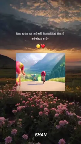 🙂❤️  #statussinhala #ස්ටෙටස් #viral #fyp #vadan #වදන් 