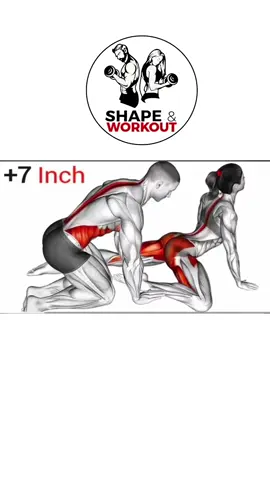 full body workout enjoy your life ✨️ 😊 ❤️  #fypppppppppppppppppppppp #shape_workout #short #trick #pyf #👌💯👌💪✅️💪👌💯 #rrrrrrrrrrrrrrrrr 