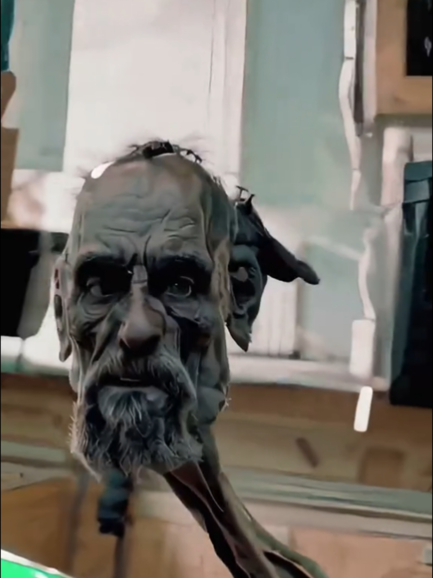 Daddy long neck