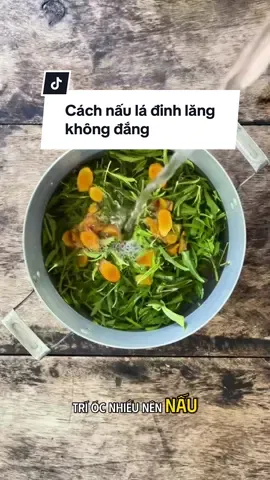 Cách nấu lá đinh lăng chuẩn, không bị đắng? #tra #dinhlang #tradinhlang #trathaomoc #trathaoduoc #tea #ngu #matngu #ngungon #uongtradi #yaangforest