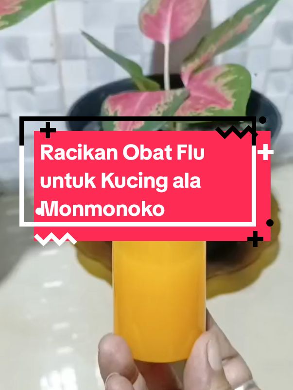 Racikan Obat Flu untuk Kucing ala Monmonoko  #racikan #obatflu #kucing #ala #monmonoko #yantimambo3 