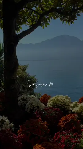 #اللهم_آمين #يارب #دعاء #دعاء_يريح_القلوب #ذكر #explore #fyp #fypシ #for #foryou #❤️ 