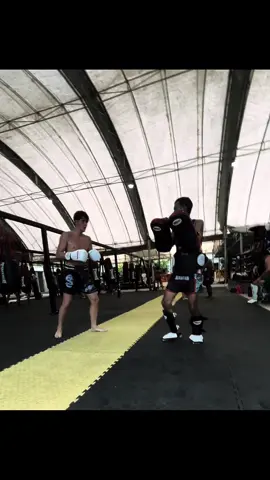 Muay thaï. #viral #muaythai #thailand #training #fyp 