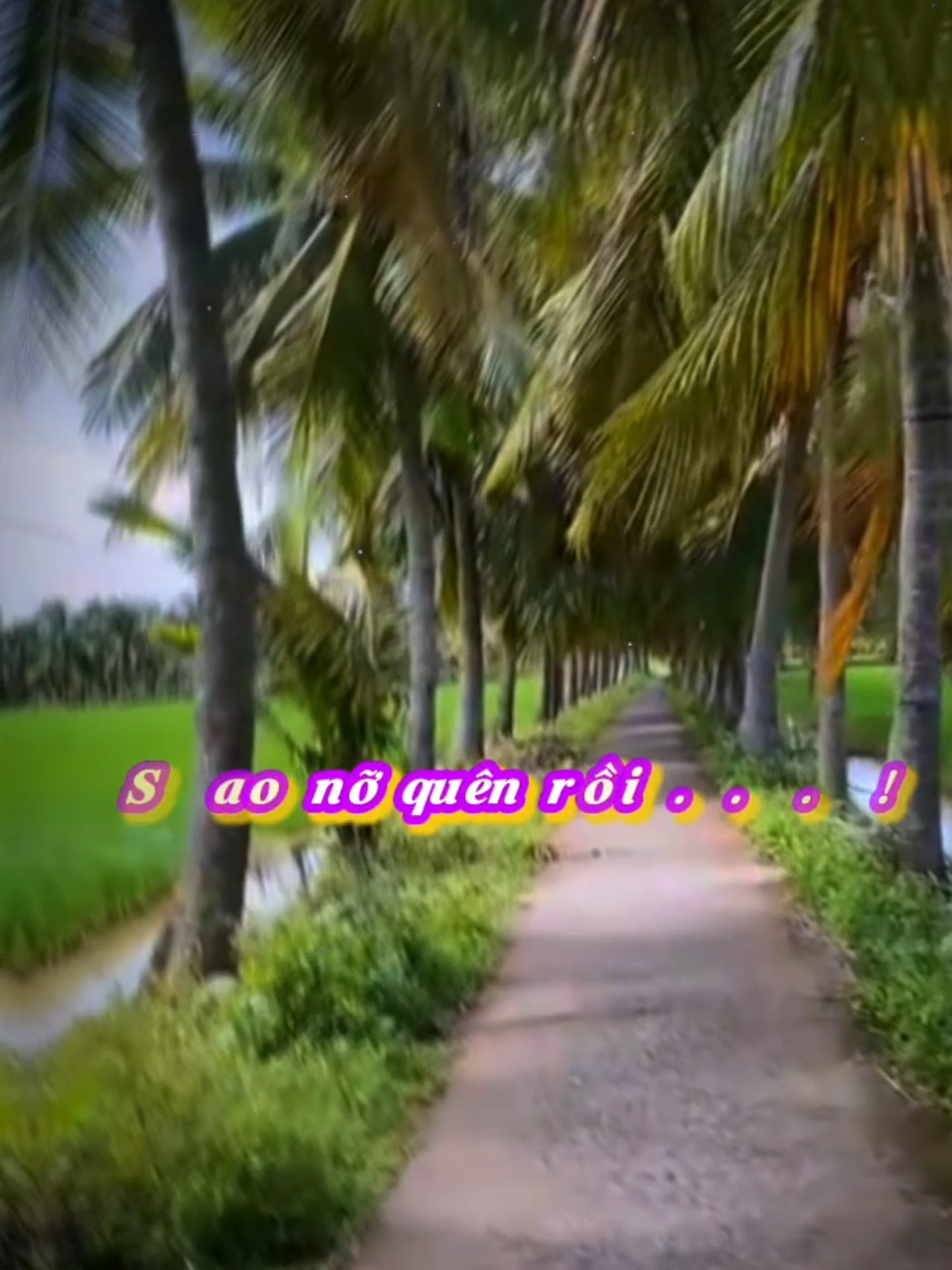 #CapCut #xuhuong #nhachay #quehuong#tamtrang 