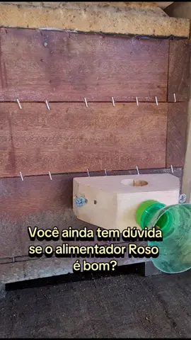 Aqui é unânime, todas as nossas caixas possuem alimentador externo roso! As abelhas aprovaram e o nosso manejo ficou 100% otimizado. #alimentador #roso #meliponicultura #caixainpa #mel 