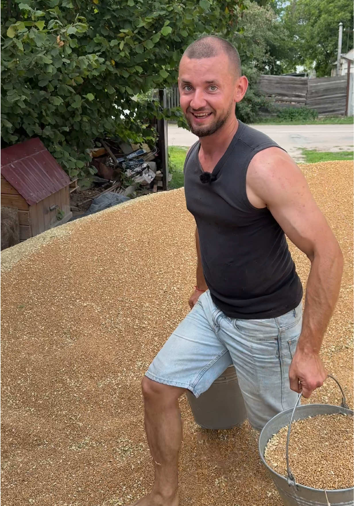 11 тон пшениці