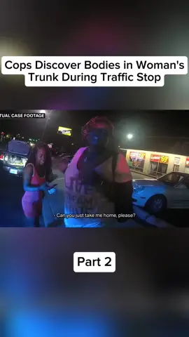 Part 2 #cops #police #bodycam 