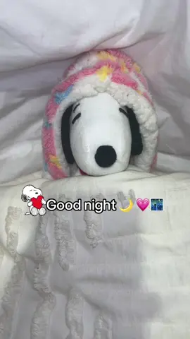 Snoopy says goodnight 🌌⭐️🌙#snoopy #goodnight #peanutssnoopy 