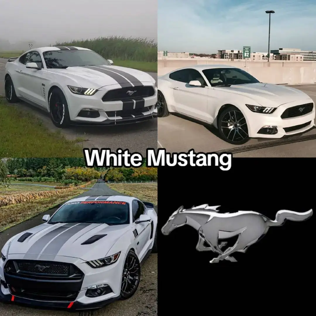 dc : zum.wtf4 #mustang #lamborghini #ferrari #bmw #mercedes #audi #koenigsegg #pagani #bugatti #hellcat #srt #mazdamiata #porsche #honda #masarati #rollsroyce #astonmartin #mclaren #corvettecorvette #nissan #whitecars #fyp #fy #fyp シ #foryoupage #global