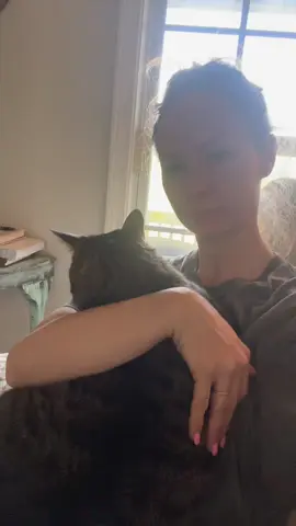 Love our fur babies 🐈‍⬛ #kittiesoftiktok #Love #morningdevotion 