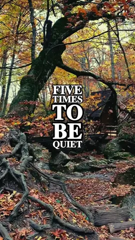 5 times to be quiet  #quietpower #motivationdaily #wisdom  #deeptalk #foryou #respect #elevatepulsex 