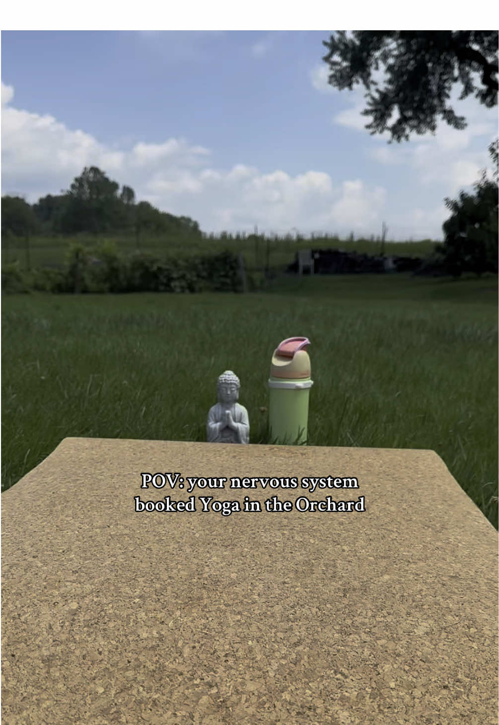 POV: your nervous system booked Yoga in the Orchard 🧘‍♀️🌿 Join us for our very first Yoga in the Orchard on Saturday, October 4 at 9:30 AM in Newark, Delaware. $75 per person includes: • A 1-hour outdoor yoga class led by House of Yoga • An 8 oz jar of Benjamin’s Booth local honey • A honey wand • Honey-infused cucumber water • Honey mints • A 10 percent off coupon for the booth Set in our peaceful orchard with views of White Clay Creek State Park. Fresh air, buzzing bees, and calm energy await. 🐝✨ Sign up at benjaminsbooth.com/experiences #YogaInTheOrchard #BenjaminsBooth #FarmYoga #DelawareEvents #SupportLocal #WellnessExperience #BeeCalm #OutdoorYoga #FallInDelaware #Delaware #Yoga #Yogaclass #DelawareYoga 