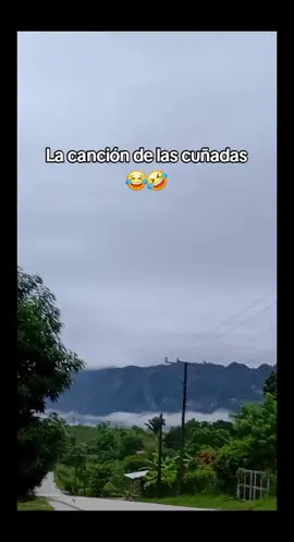 #👀🤣🤣🤣 #fypシ゚viral🖤tiktok 