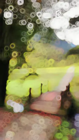 Đôi khi bạn đã bỏ lỡ 1 người mà đã từng gọi là người thương...! •Hỗ trợ chụp ảnh miễn phí (tuỳ điểm) bằng điện thoại khi book Nam xe ôm! #lượn_lờ_sapa  #nam_xe_ôm  #chụp_ảnh_điện_thoại  #sapa  #checkinsapa  #tamtrang 