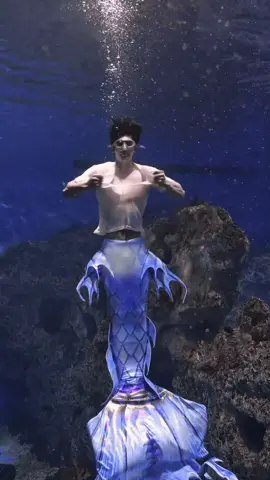 🧜🏻‍♂️ : Ji Yejie #jiyejie #npc #mermaid #merman #mermaidman #china #handsome #abs #oceanpark #seaworld 