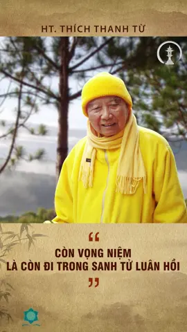 Còn vọng niệm là còn đi trong luân hồi sanh tử - Pháp ngữ của Hoà thượng Thiền sư Thích Thanh Từ, Sư Ông Trúc Lâm ©️ Thiền viện Thường Chiếu #thichthanhtu #hoathuongthichthanhtu #suongtruclam #tutrongbanron #thienvienthuongchieu #truclamquantue #tramtue #rungdotruclam #rungthientruclam #thientongvietnam #thienphaitruclamyentu #sototruclam #phathoangtrannhantong #todinhthuongchieu #phatphap #phatgiao #nammophatbonsuthichcamauni #daophattrongdoisong #daophattrongtraitimtoi #LearnOnTikTok #xuhuong #trending 