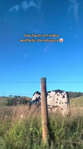 Estou atrapalhando alguma coisa?? 🥲 #natureza #fyp #fy 