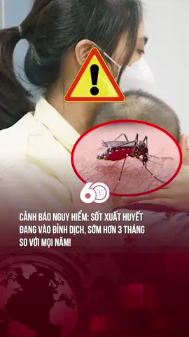 SỐT XUẤT HUYẾT ĐANG VÀO ĐỈNH DỊCH, SỚM HƠN 3 THÁNG SO VỚI MỌI NĂM! #bobbyantimos #tãquầnxuamuỗi#theanh28new #theanh28 #60giay 