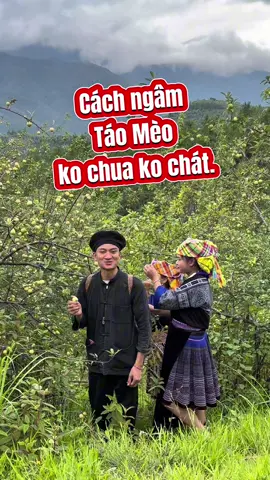 Cách ngâm táo mèo ko chua ko chát. #anhdantoc #vtmgr #AnCungTikTok #taomeo #taomeomucangchai #reviewanngon 