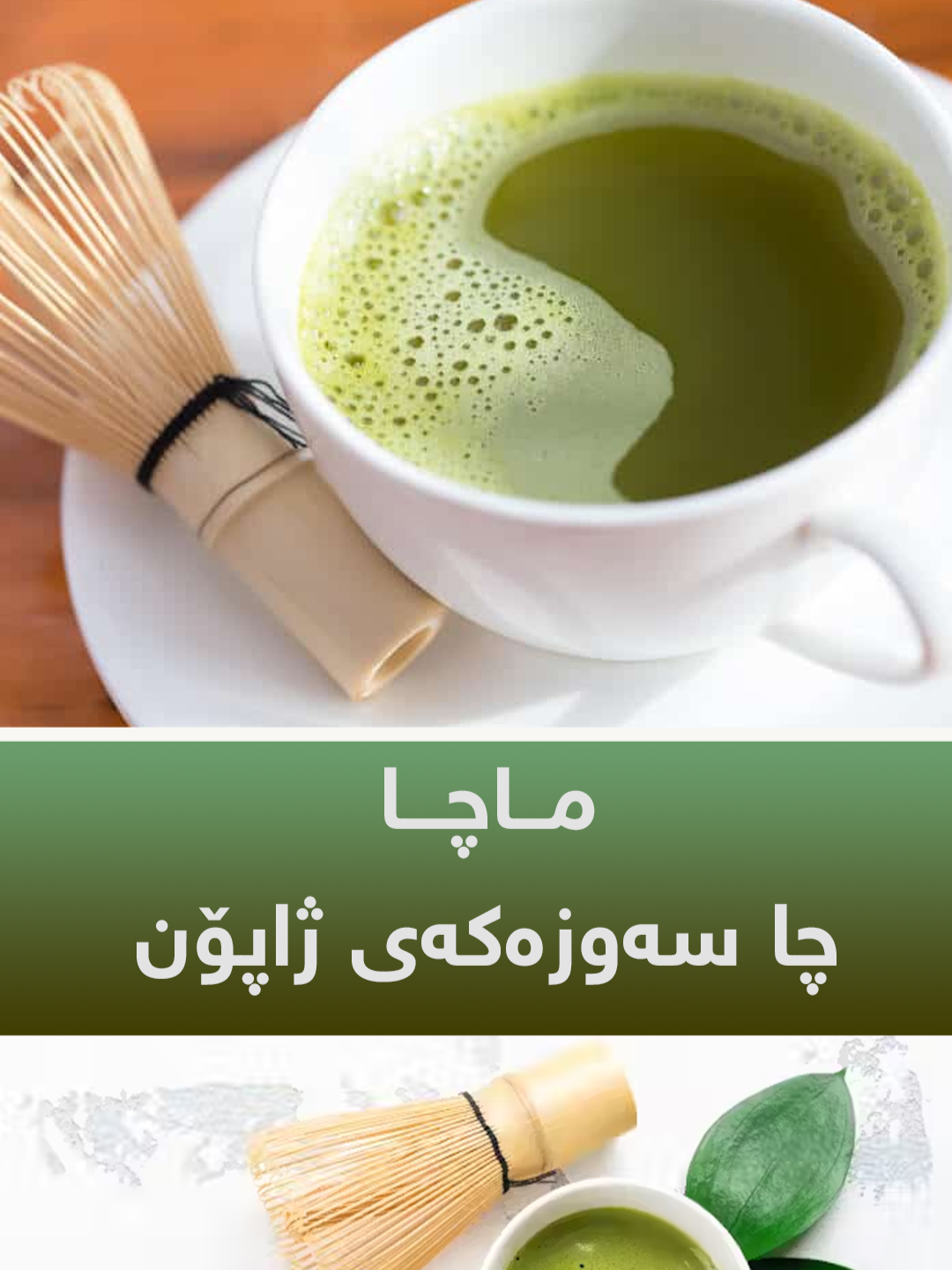 ماچا، چا سەوزەکەی ژاپۆن