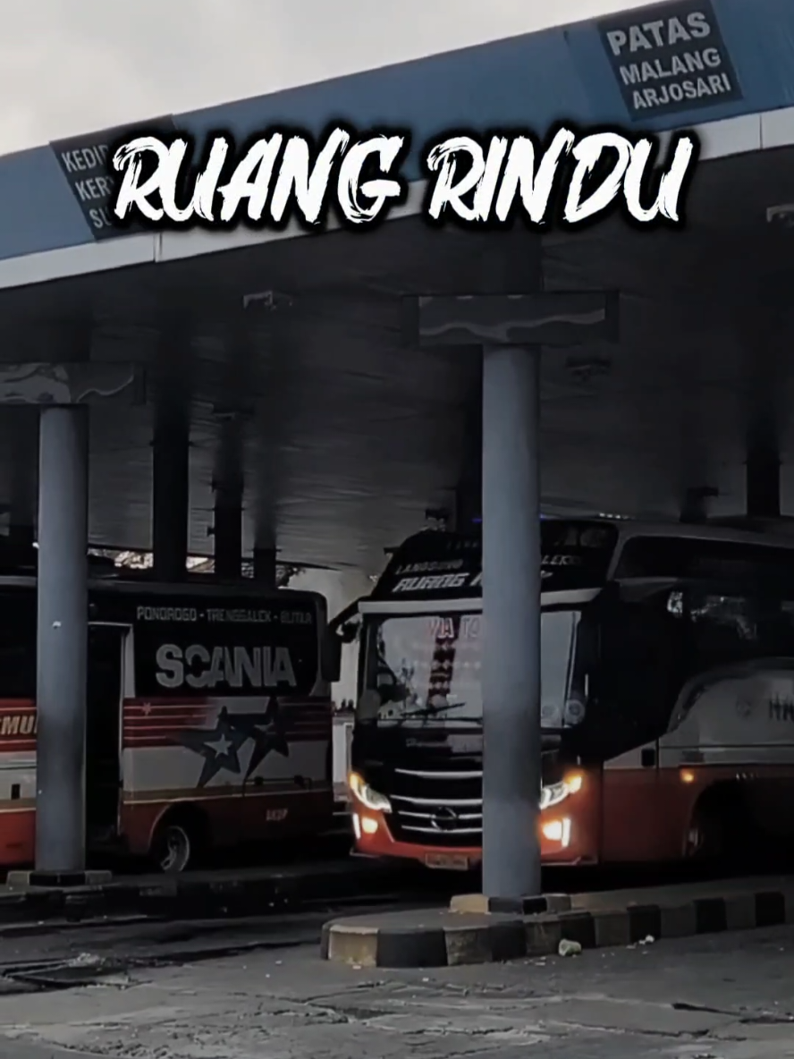 Harapan Jaya Tim trenggalek, ada yang kenal ? #harapanjayabus #harapanjayamania #harapanjaya #fyp #fypシ゚viral #busjawatimuran #harapanjayamania @saya.dhanu 