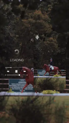 🌀 Loading 🌀 With the 2025 National Dressage Championships less than 50 days away, make sure you take advantage of the current ticket prices before increase on 1 August!✨ #BritishDressage #dressagetiktok #dressagehorse #dressagerider #equestrian #dressage #equestraintiktok #horse #britishdressage #fyp #LNDC25 #championships #nationalchampionships #lemieux #dressagechampionships 