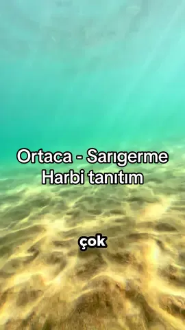 🏖️ Sarıgerme - Sarçed tanıtım *reklam yok Gürültüden, piyasadan uzak kafa dinlemek isteyenler için 10 numara. 💰 Giriş Ücreti Yaya 50 TL araç girişi 250 TL. Akşam 19:00 sonrası ücretsiz giriş. Otoparkı mevcut, aracı dışarı bırakıp yaya olarak girebilirsiniz. Şezlong + Şemsiye 150 TL kişi başı. Emanet kasası 30 TL 🍽️ Menü Fiyatları (Ortalama) Soğuk içecekler: 75 TL Hamburger - Gözlemeler: 200 TL Dondurma: 50-100 TL 🚿 Hizmet ve Olanaklar Ambulans, kamelya, duş, kabin, bebek odası, çocuk parkı, tuvalet mevcut. 📍 Konum ve Ulaşım Sarıgerme sapağından sağ tarafa devam etmeniz gerekli. Sahilde müzik çalınmaz, içeride ayrı bir beach clup tarzı mekanda var takılmak isteyenler için işletmesi farklı olan. Denizi bazen dalgalı olabiliyor, sığ, tamamen kum. Takip ederseniz sevinirim 🙏 #keşfet #Summer #ortaca #sarıgerme #sarçed #tanıtım #Vlog