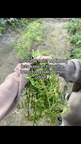 Ubaq uman paku lemeq 🤣 #fyp#kenyah#kutim#fypage#dayakkalimantan
