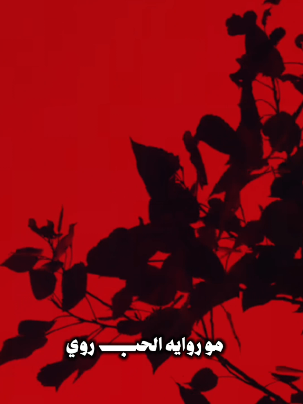 مو روايه الحب روي ❤‍🩹                              #سيد_فاقد  #اهل_البيت_عليهم_سلام 