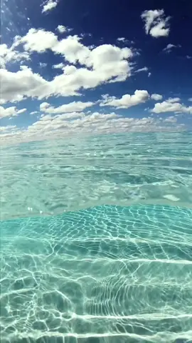 The sea is a blue Magic,Whispering calmly and bringing peace #sea #ocean #tiktoknature #viralvideos #viral#foryoupagе  #naturebeauty #fyp #relaxing 