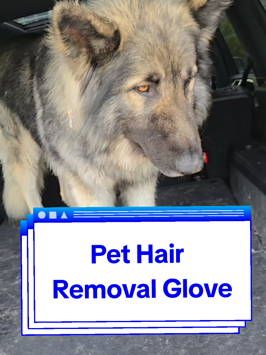 Tired of pet hair all over your car seats? 🐶🚗 This glove grabs it all in seconds – no more lint rollers or vacuum struggles! #PetHairRemover #FurFreeHome #PetCleaningHack #ElectrostaticGlove #PetOwners #CatHairCleanup #DogHairSolution #TikTokPets #CleaningTikTok #PetHack #MustHaveForPetOwners #SatisfyingCleanup #GadgetTok 