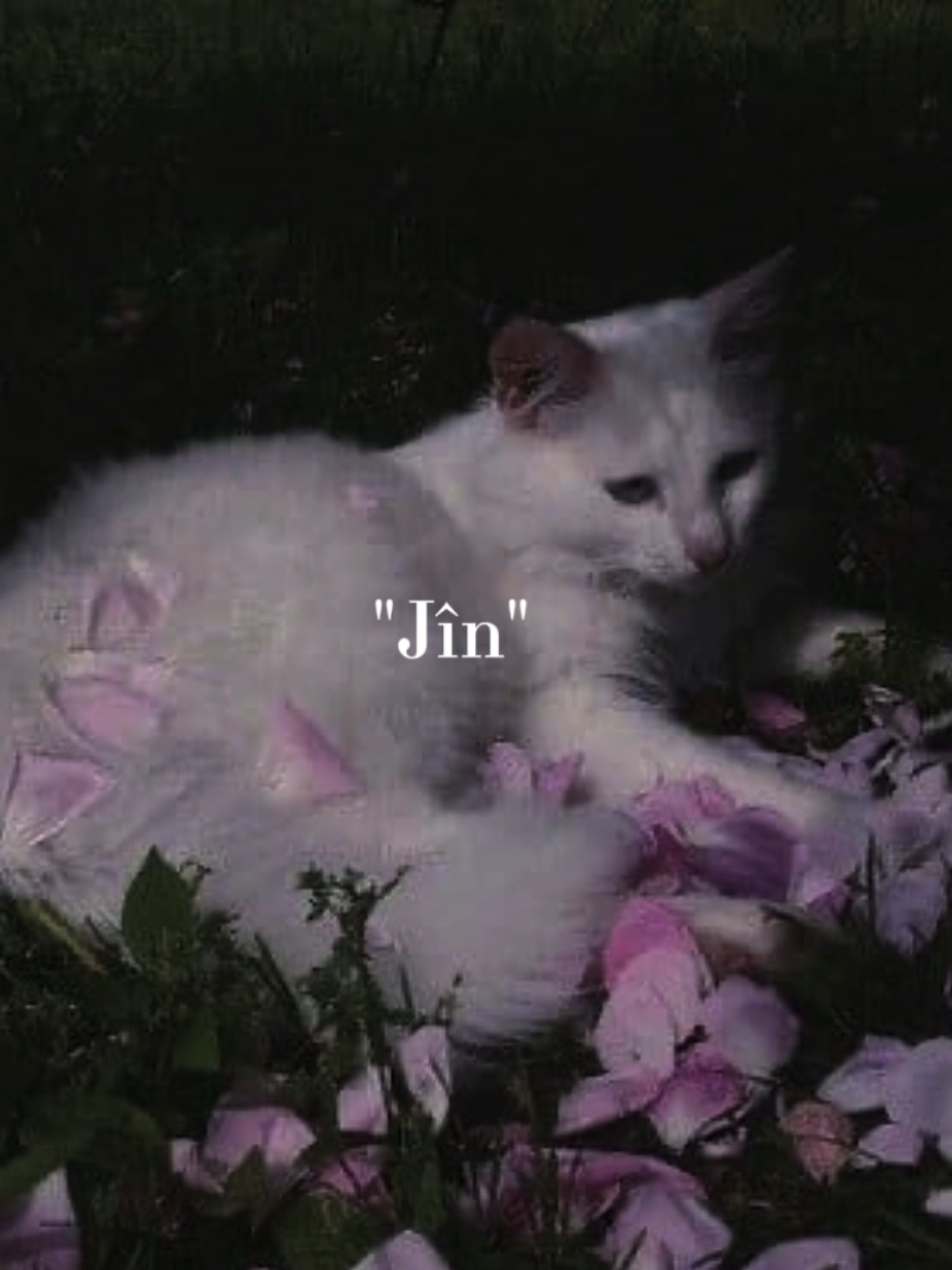 They called her: Jîn🎀 #kurd #kurdistan #kurdish #music #fy #daughter #girl 