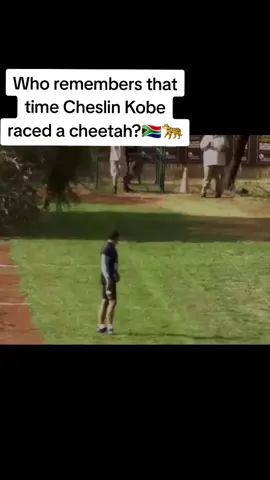 This was a crazy race🔥🇿🇦😅🐆#springboks #futureofsports #southafricantiktok #mzansitiktok #proudlysouthafrican #bokke 