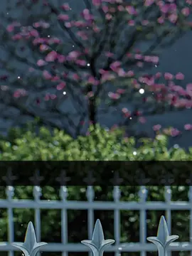 #আবু_ত্বহা_মুহাম্মদ_আদনান #ইসলামিক_ভিডিও_🤲🕋🤲 #লাইলাহা_ইল্লাল্লাহমুহাম্মদরাসূলল্লাহ #allah #আইডিতে_view_like_আসে_না😪😪😪 