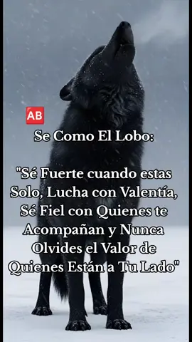 Se Como El Lobo: Se fuerte cuando estas Solo, Lucha con Valentía, Se Fiel con Quienes te Acompañan.#frasesyreflexiones #frases #fypシ゚ #frasesyreflexiones #fra #frasesmotivadoras #Amor #creatirsearchinsights #fuertesdeclaraciones #frasesyreflexiones 
