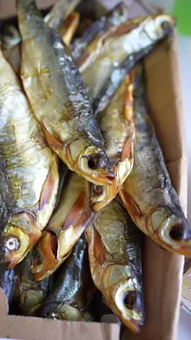 #turkmenistan #ashgabat #jivoy #rozliv #fyp #foryou #tiktok #рекомендации #хочуврек #rek 