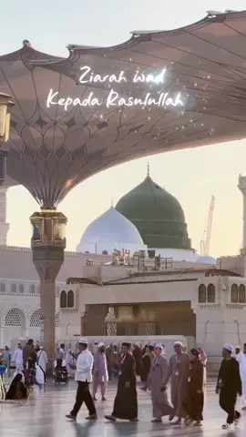 Ziarah Wada Kepada Rasulullah #madinah #masjidnabwi #makahmadina🕋 #masjidilharom #ziarohkemakamnabi #allahummashollialasayyidinamuhammad 