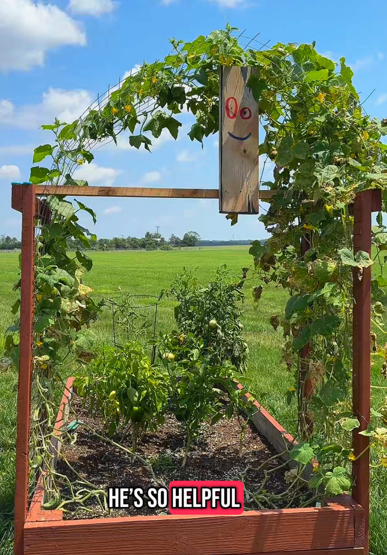 Really showing my age with this one 😂👩‍🌾🍅🥒 #ededdneddy #throwback #plank #ededdneddyplank #gardening #gardentok #vine 