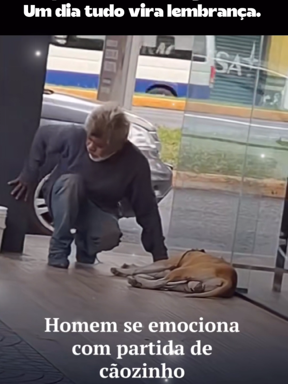 Aproveite cada segundo.  #cachorros #emocionante #emotional #dogs #amocachorros #emoção #cachorrosdotiktok #luto  #viraltiktok #fouryou 