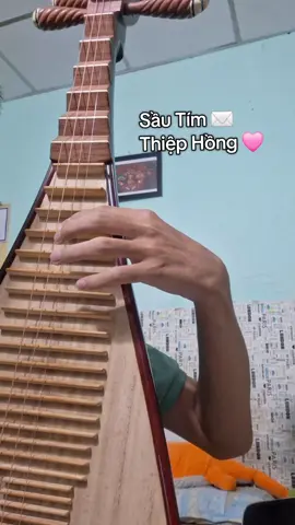 Nay nghịch đàn cùng 1 xíu Bolero Việt Nam nhé. Sầu Tím Thiệp Hồng - Đàn Tỳ Bà Trung Quốc 🫦 #sautimthiephong #bolero #琵琶 #dantyba #xh 