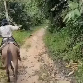 #humor hasta le inyectó el nitrógeno al caballo para agarrar más fuerza#paratiiiiiiiiíiiiiiiiiiiiiii  hasta se le oyó la presión en la salida del aire del caballo#espn 